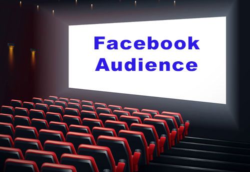 121website Facebook Audience Explained Graphic